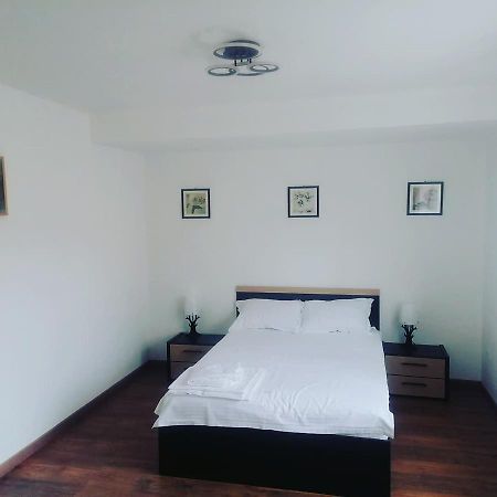 La Bunici Apartment Бая Маре Екстериор снимка