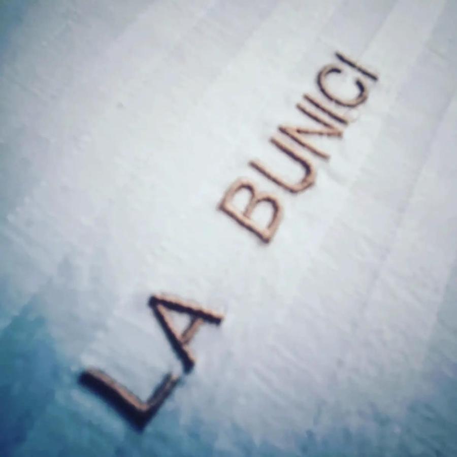 La Bunici Apartment Бая Маре Екстериор снимка